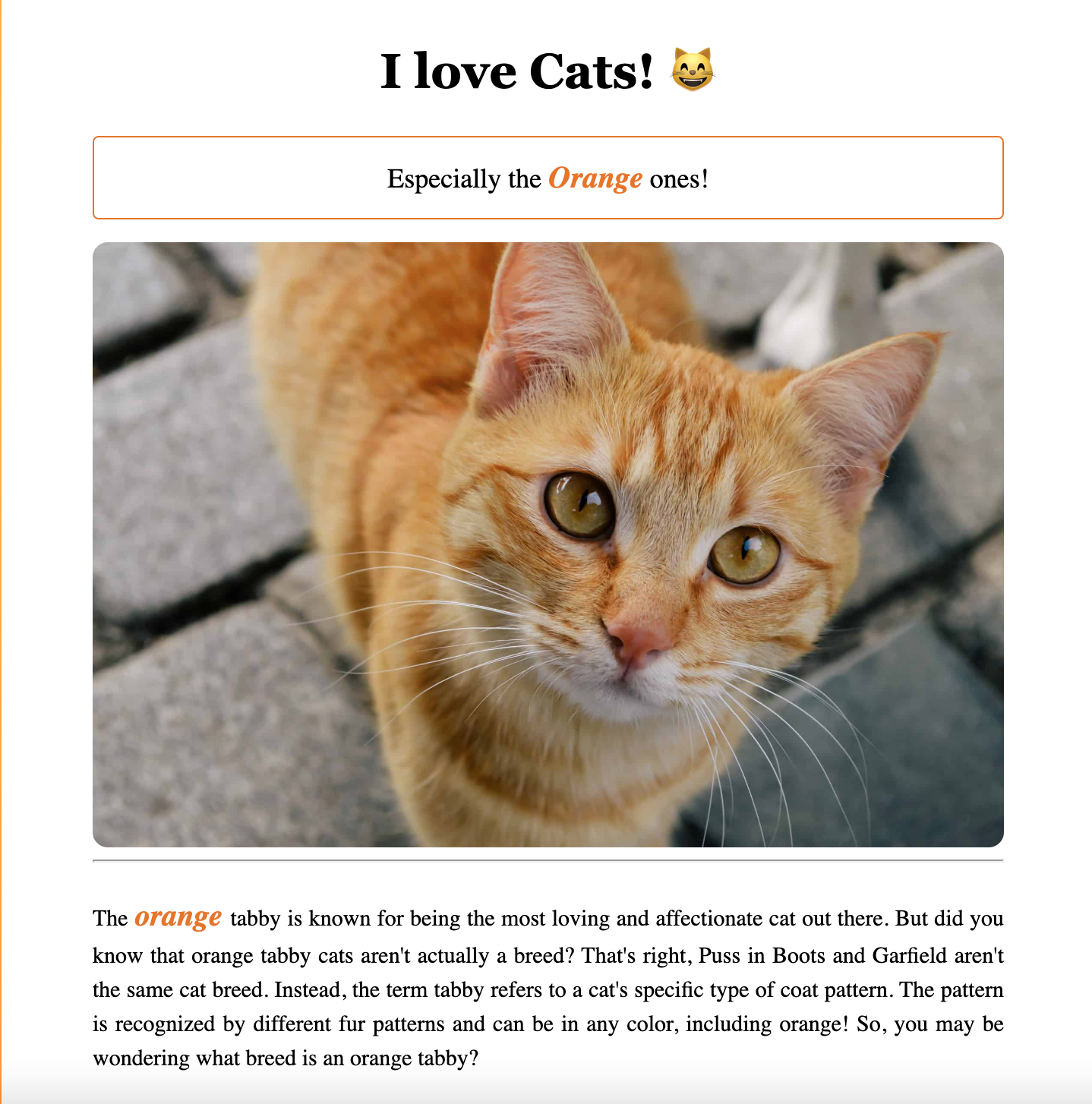 Cat App